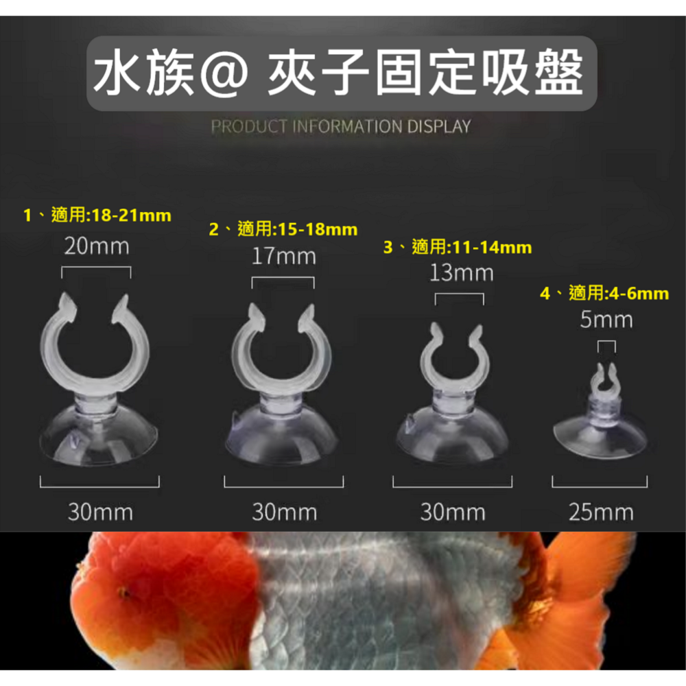 🎏 水族 魚缸 固定吸盤-細節圖2