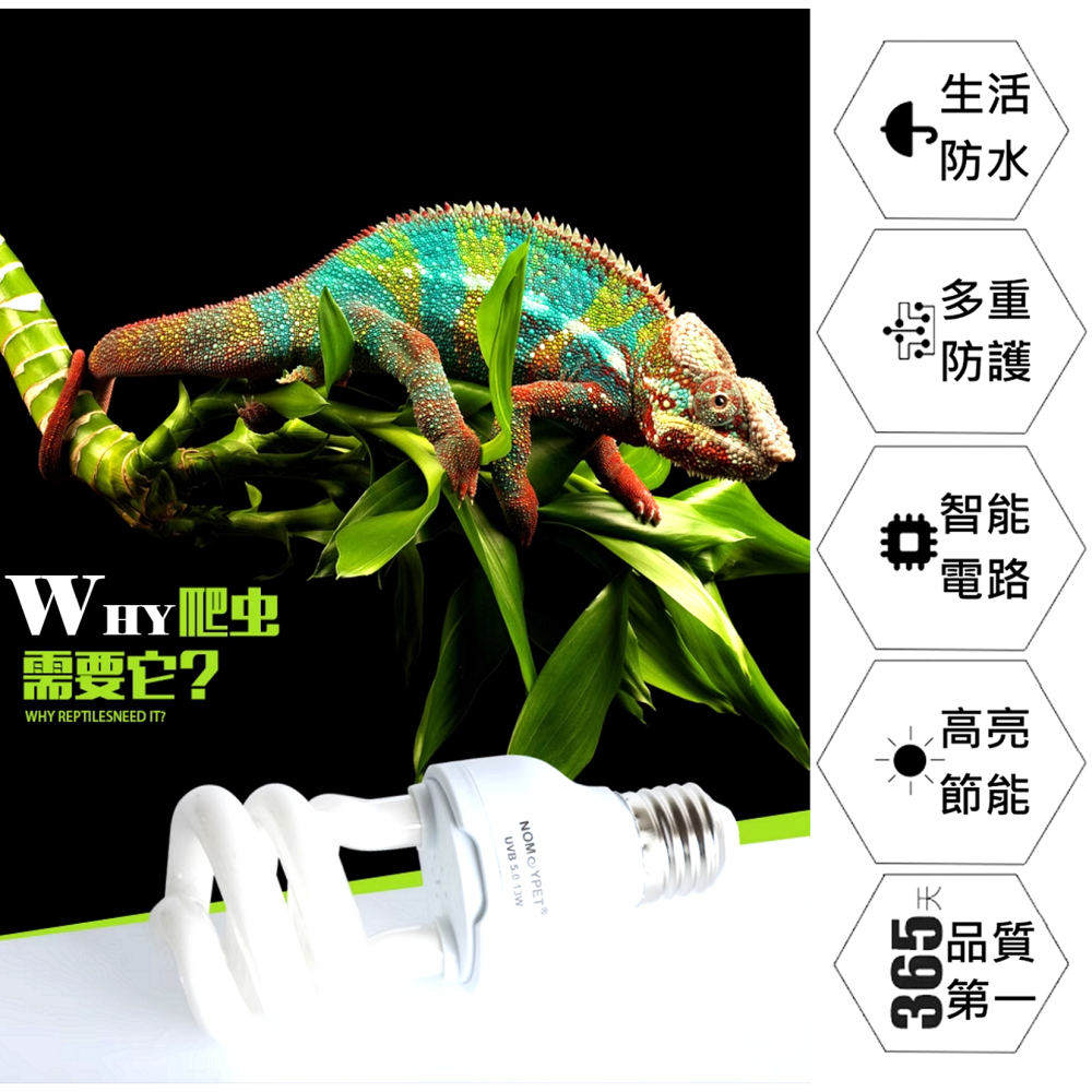 🎏 UVB 寵物 補鈣 節能燈 燈泡 燈管 紫外線 守宮 蜥蜴 蠍子 陸龜 變色龍 蜘蛛 刺蝟 爬蟲 5.0 10.0-細節圖2