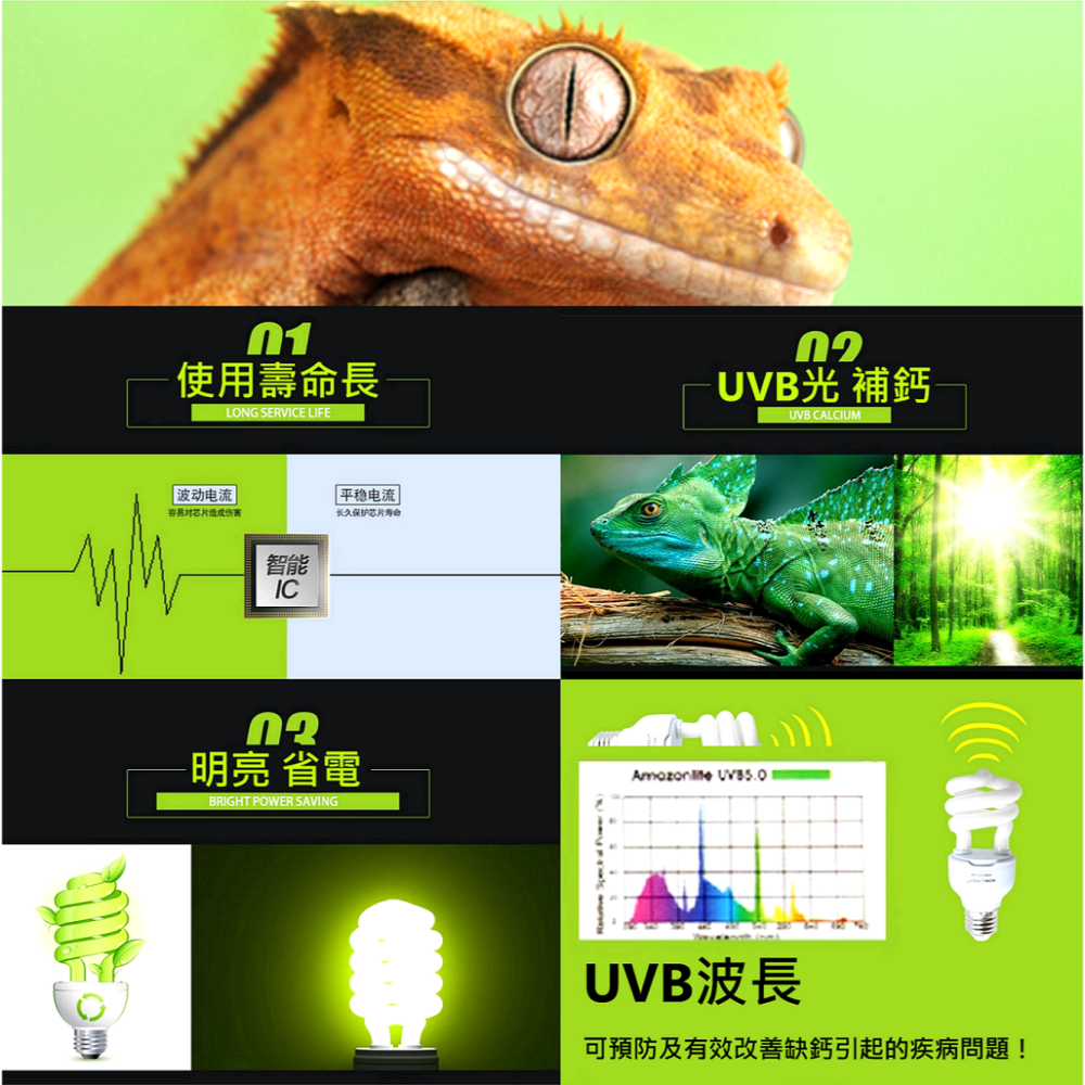 🎏 UVB 寵物 補鈣 節能燈 燈泡 燈管 紫外線 守宮 蜥蜴 蠍子 陸龜 變色龍 蜘蛛 刺蝟 爬蟲 5.0 10.0-細節圖3