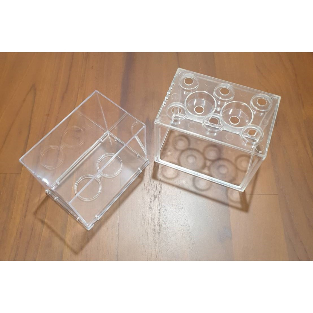 🎏 全新 高品質 台灣製 超清晰 透明 鬥魚缸 水族 鬥魚 昆蟲 蜥蜴 蟋蟀 蠶 守宮 獨角仙 甲蟲 楸形蟲 飼養-細節圖3