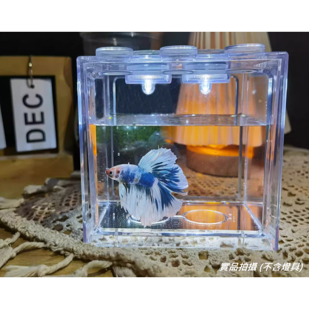 🎏 全新 高品質 台灣製 超清晰 透明 鬥魚缸 水族 鬥魚 昆蟲 蜥蜴 蟋蟀 蠶 守宮 獨角仙 甲蟲 楸形蟲 飼養-細節圖6