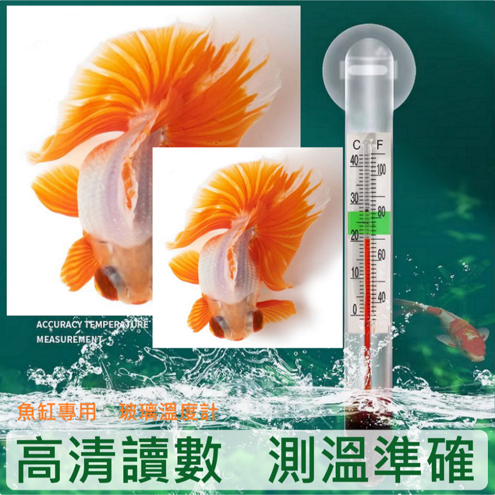 🎏  水族 溫度計 水族箱 魚缸 專用 溫度計-細節圖2