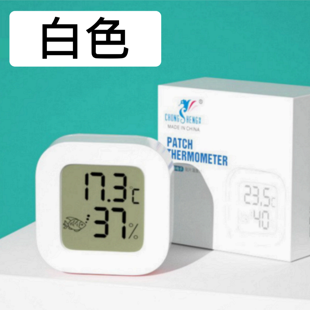 白色 橢圓 雙顯款