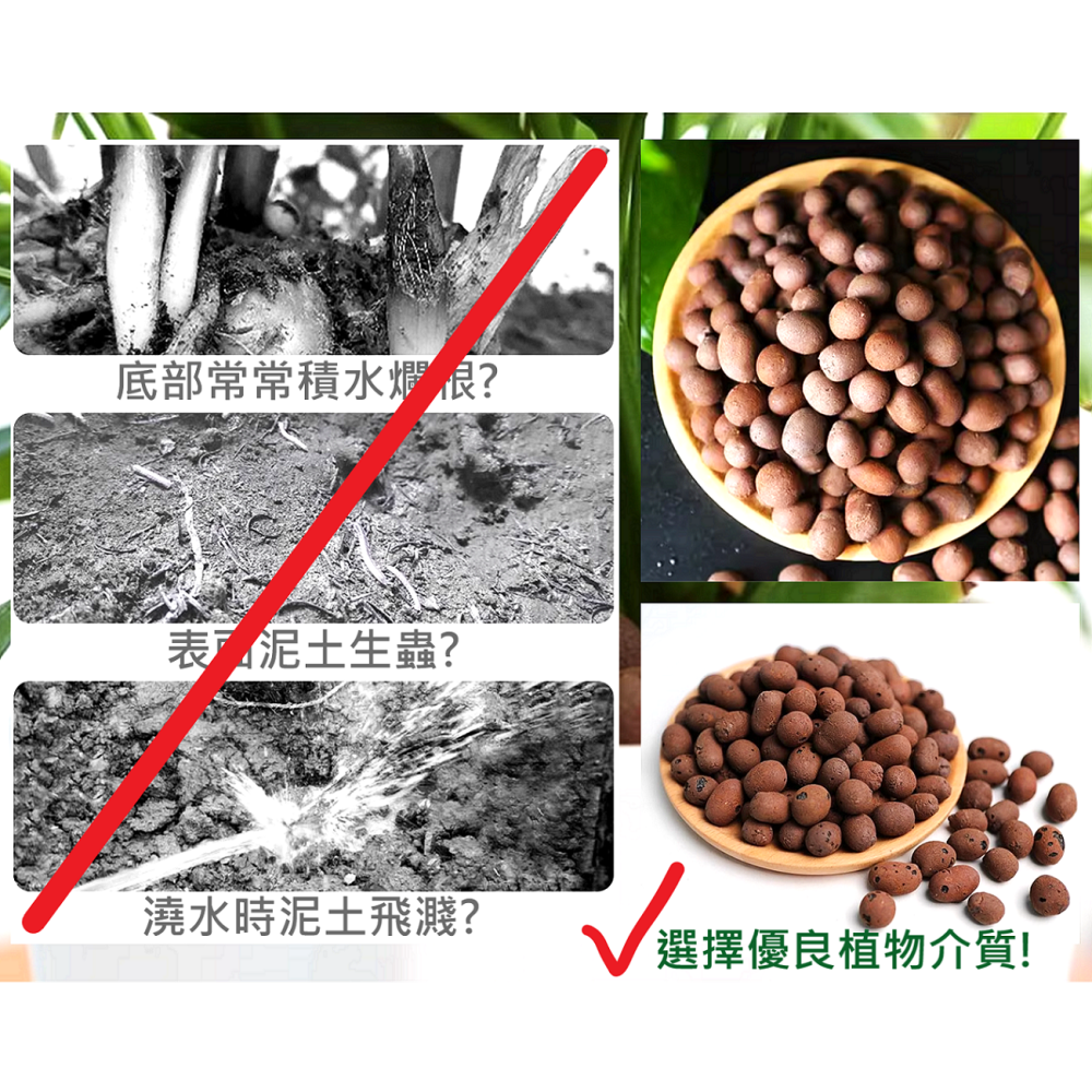 高品質 陶粒 發泡煉石 園藝 植栽 花園 多肉 觀葉 蘭花 植物 保水 透氣 土壤 介質 底石 高溫燒製 大小均勻-細節圖2