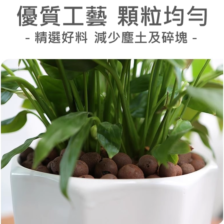 高品質 陶粒 發泡煉石 園藝 植栽 花園 多肉 觀葉 蘭花 植物 保水 透氣 土壤 介質 底石 高溫燒製 大小均勻-細節圖5