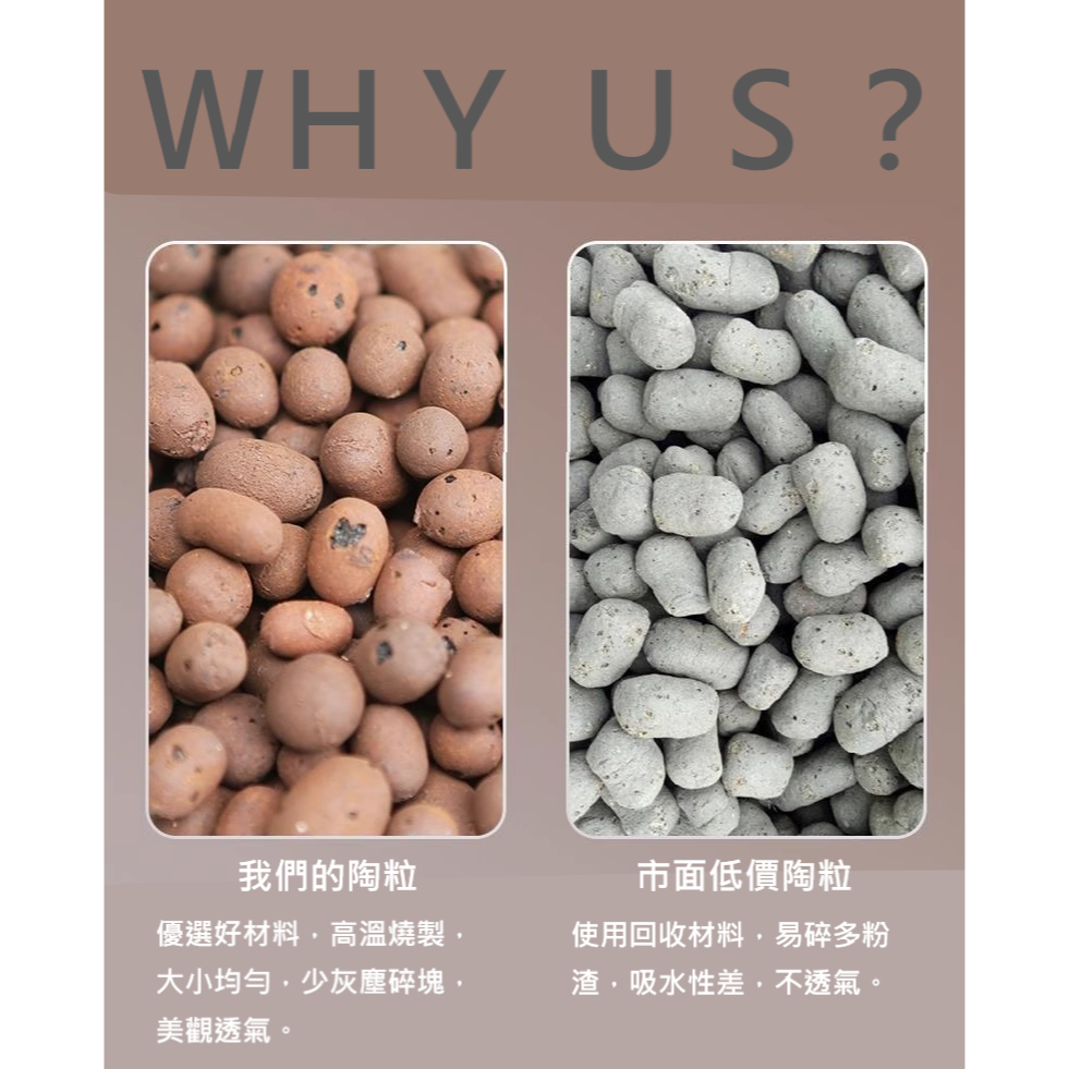 高品質 陶粒 發泡煉石 園藝 植栽 花園 多肉 觀葉 蘭花 植物 保水 透氣 土壤 介質 底石 高溫燒製 大小均勻-細節圖6