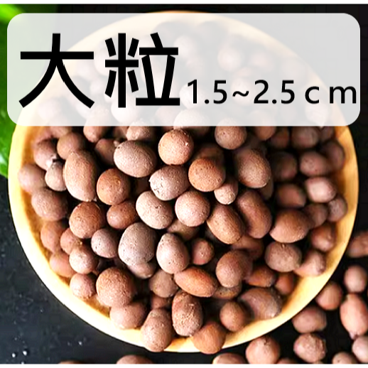 大粒(1.5~2.5CM) 5g