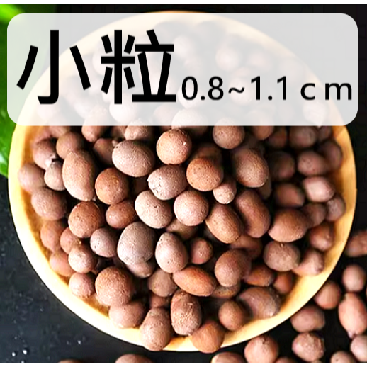 小粒(0.8~1.1CM) 5g