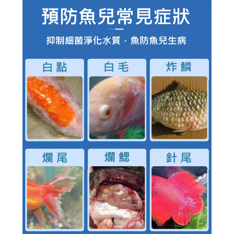 🎏 袋裝 水族 魚缸 礦物鹽 專用鹽 水質 改善 調理 養護 預防 消毒 檢疫 粗鹽 過濾 鹽球 鹽錠 鹽碇 海鹽-細節圖2