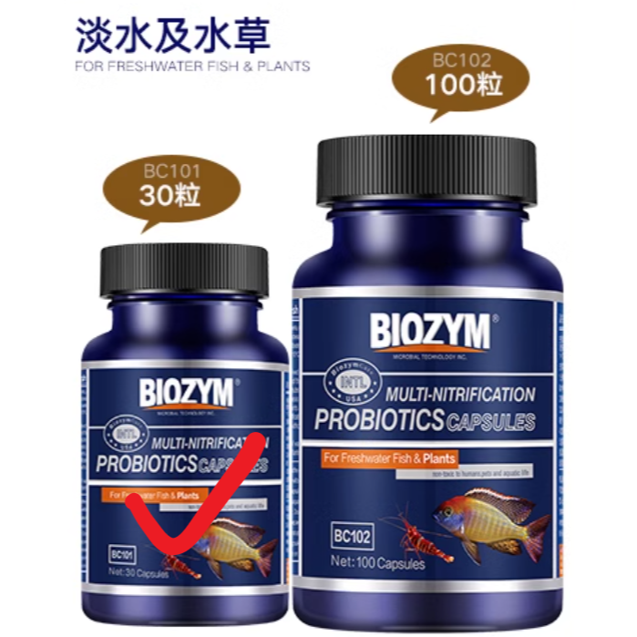 淡水、水草 (30粒)