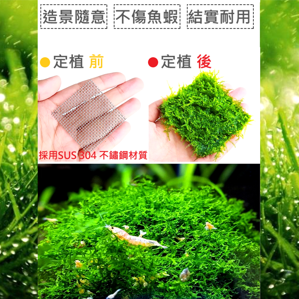 🎏 不鏽鋼 鐵網 片 水族 魚缸 水草 默絲 定植 造景 SUS 304 尼龍 水草線 綁紮-細節圖2