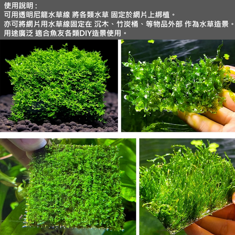 🎏 不鏽鋼 鐵網 片 水族 魚缸 水草 默絲 定植 造景 SUS 304 尼龍 水草線 綁紮-細節圖5