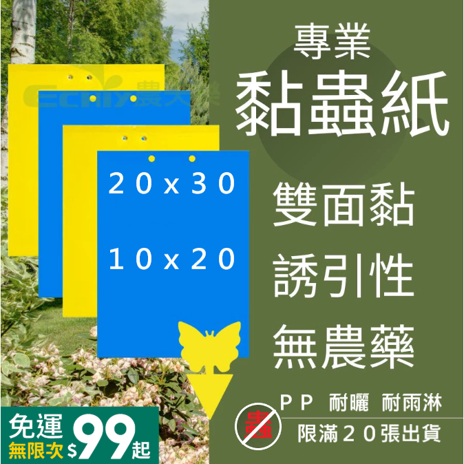 園藝 黏蟲板 黏蚊板 蚊蟲 防蟲 除蟲 殺蟲 蚊子 小黑飛 小黑蚊 果蠅 雙面 超強 黏性-細節圖2