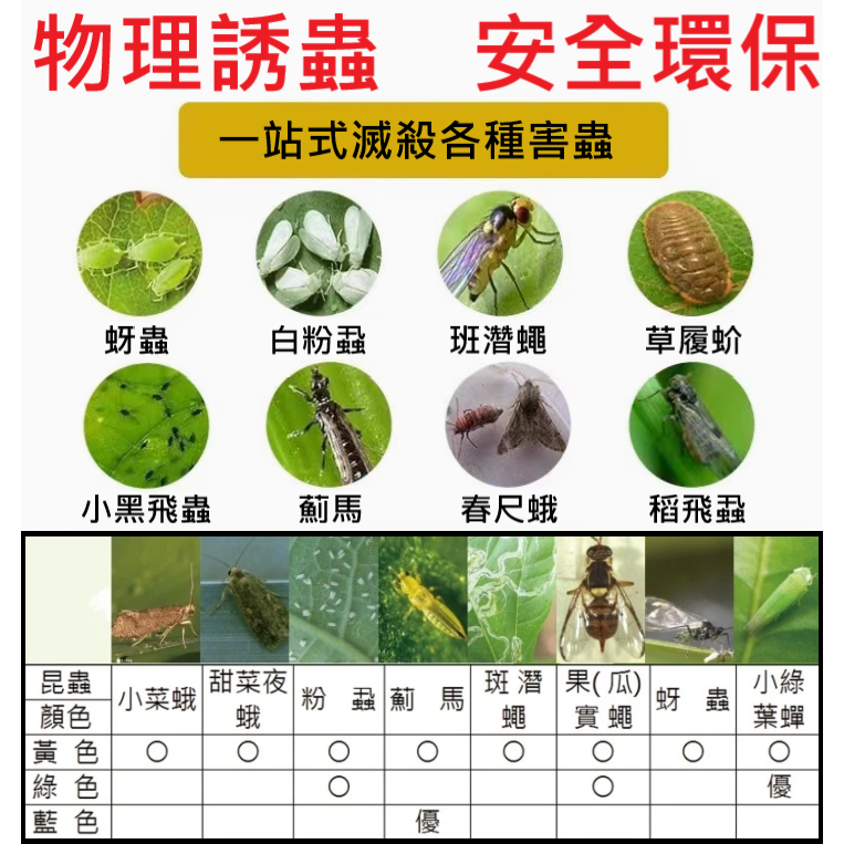 園藝 黏蟲板 黏蚊板 蚊蟲 防蟲 除蟲 殺蟲 蚊子 小黑飛 小黑蚊 果蠅 雙面 超強 黏性-細節圖3