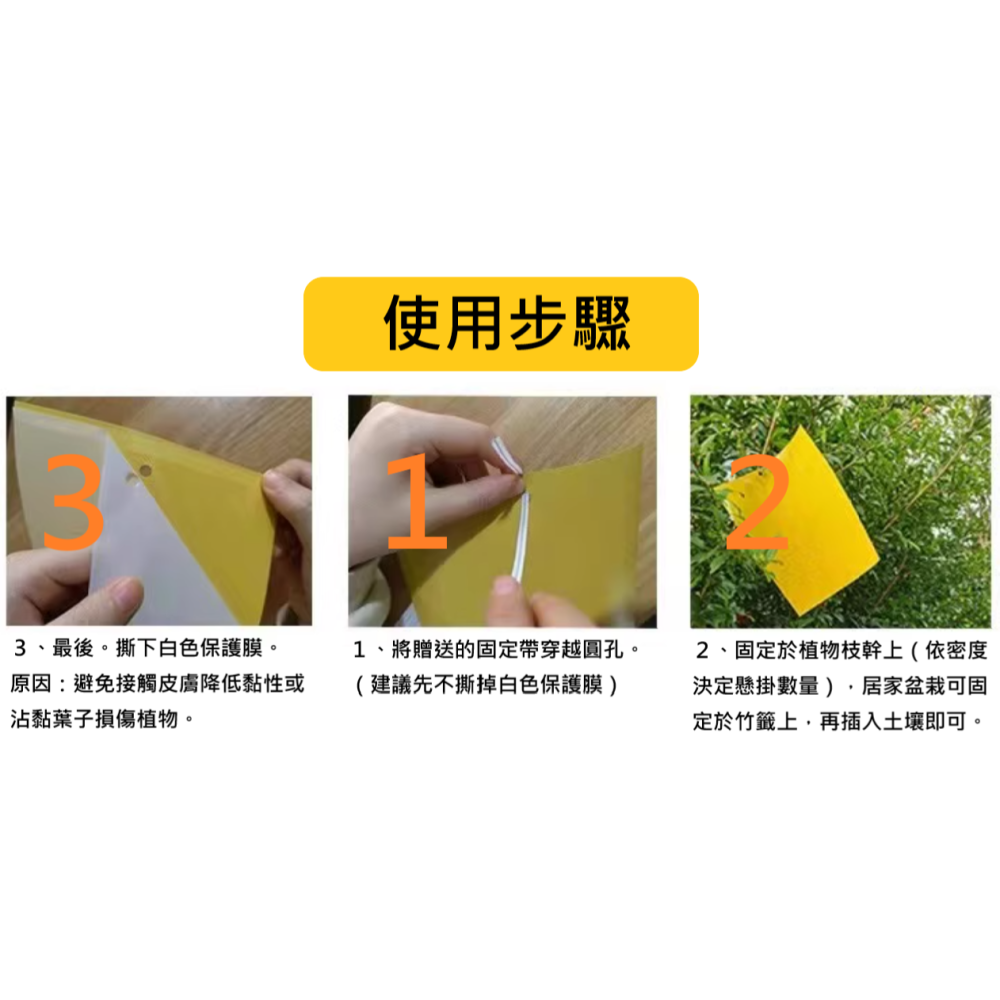 園藝 黏蟲板 黏蚊板 蚊蟲 防蟲 除蟲 殺蟲 蚊子 小黑飛 小黑蚊 果蠅 雙面 超強 黏性-細節圖4