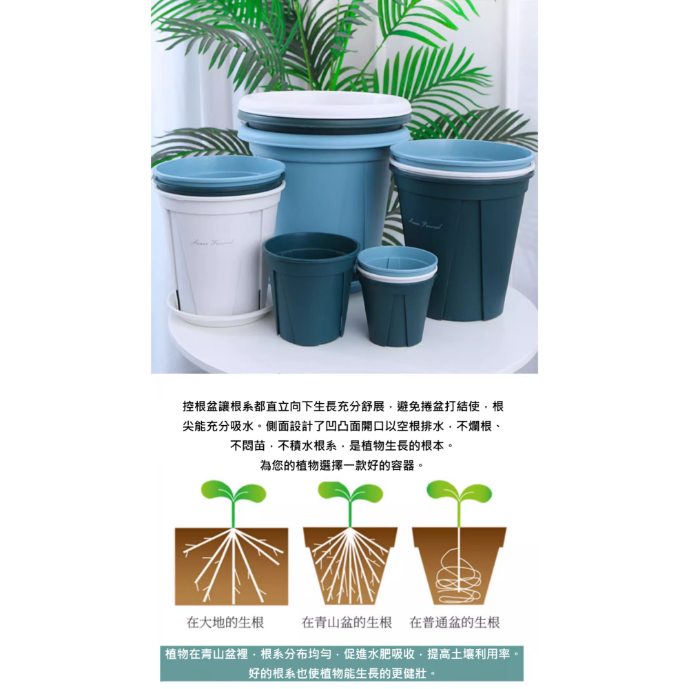 園藝 植栽 青山盆 植物 觀葉 多肉 蔬菜 花盆 控根 生根 透氣 耐壓 專業園藝用 水盤 底座-細節圖3