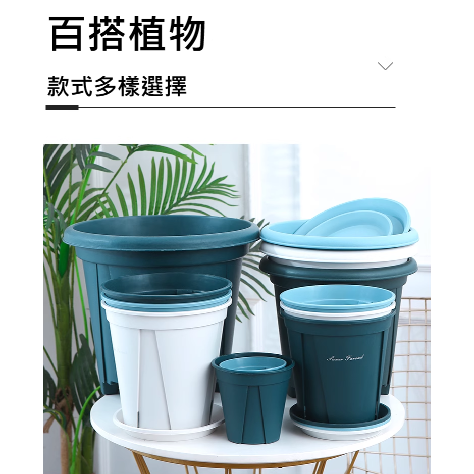 園藝 植栽 青山盆 植物 觀葉 多肉 蔬菜 花盆 控根 生根 透氣 耐壓 專業園藝用 水盤 底座-細節圖6