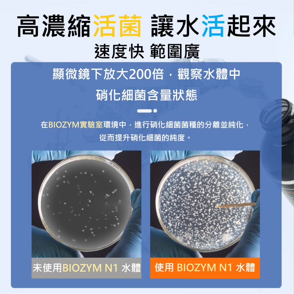🎏BIOZYM 百因美 硝化菌 液體 高濃縮，水族 魚缸 換水 淡水 海水 水草 龍魚 魟魚 錦鯉 池塘 皆有適用款。-細節圖2
