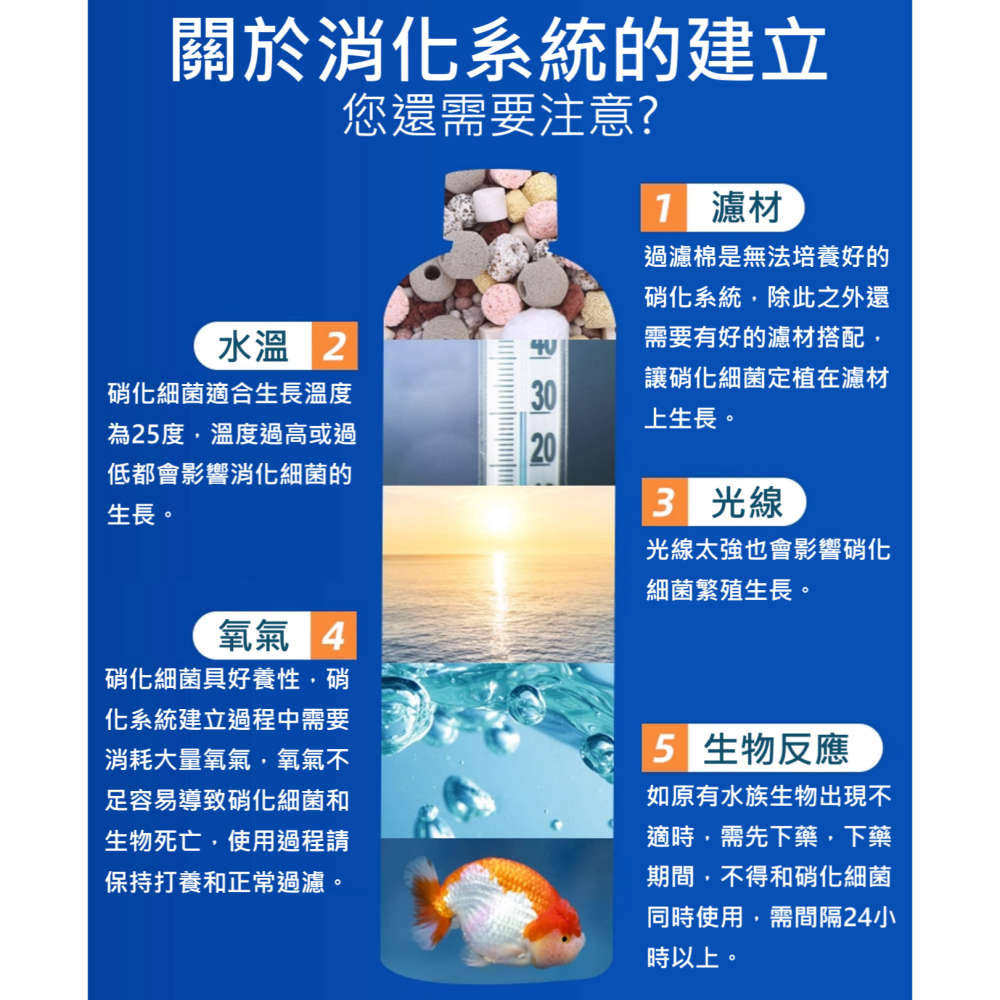 🎏BIOZYM 百因美 硝化菌 液體 高濃縮，水族 魚缸 換水 淡水 海水 水草 龍魚 魟魚 錦鯉 池塘 皆有適用款。-細節圖7