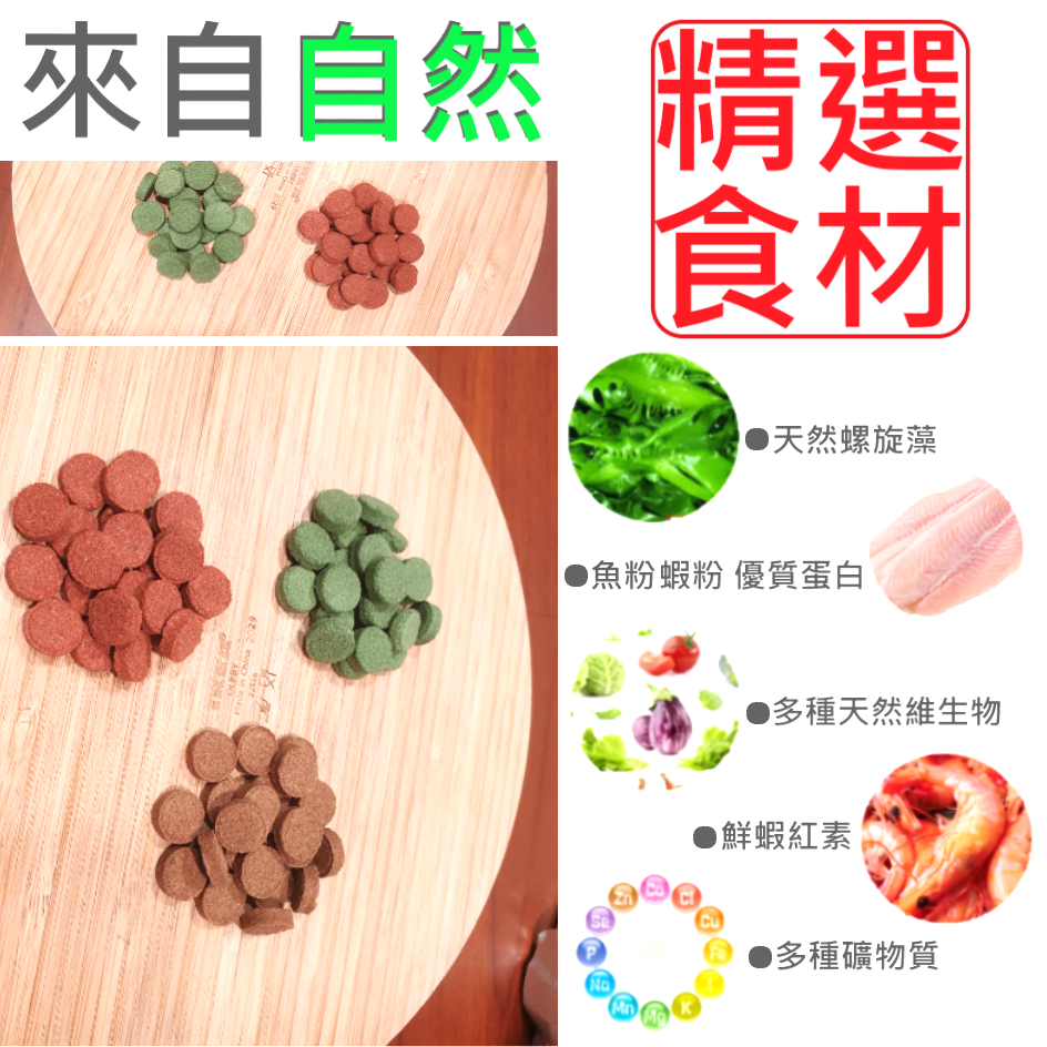 🎏 水族 小型魚 貼片 飼料 燈科 神仙 慈鯛 孔雀 肉食 水草 蝦缸 豐年蝦 螺旋藻 紅蟲-細節圖3