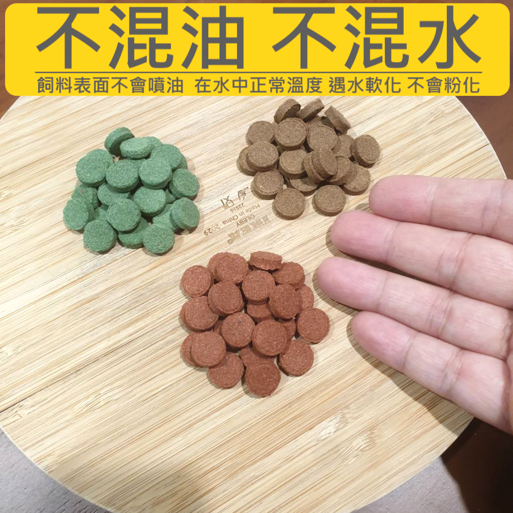 🎏 水族 小型魚 貼片 飼料 燈科 神仙 慈鯛 孔雀 肉食 水草 蝦缸 豐年蝦 螺旋藻 紅蟲-細節圖5