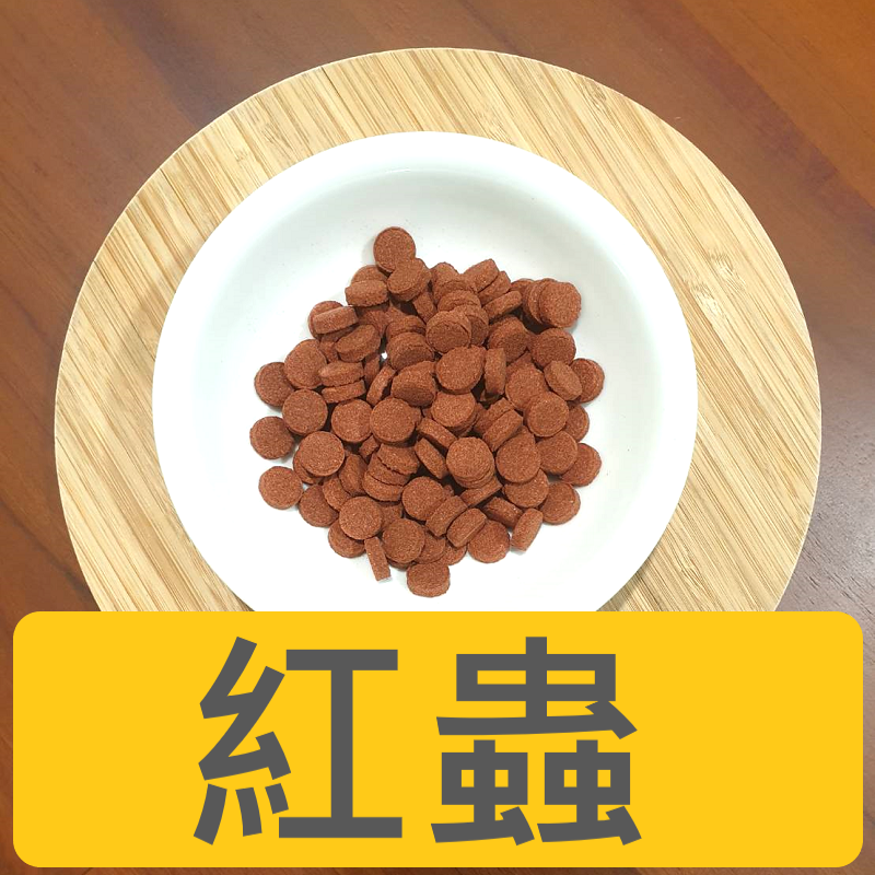 🎏 水族 小型魚 貼片 飼料 燈科 神仙 慈鯛 孔雀 肉食 水草 蝦缸 豐年蝦 螺旋藻 紅蟲-細節圖9