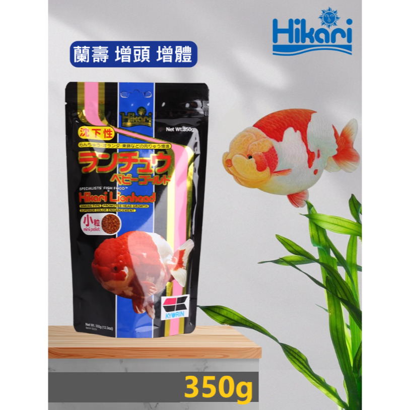 (加碼送)🎏 日本 Hikari 專家級 金魚飼料 高夠力 獅頭 蘭壽 稚魚 主食 育成 色揚 特級色揚 胚芽 水族-規格圖11