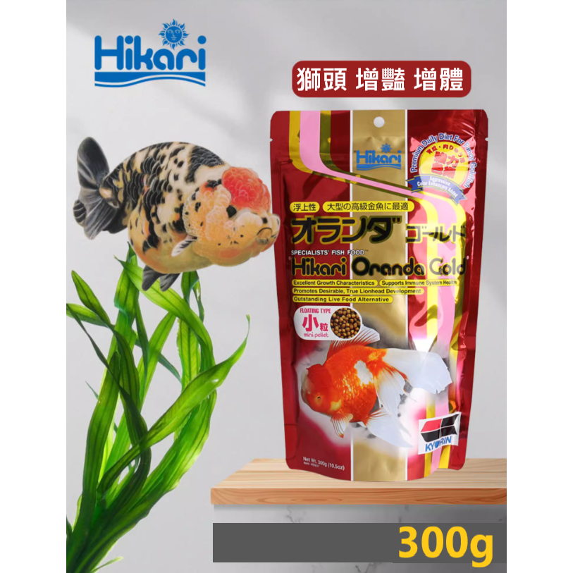 中階-特級獅頭飼料300g