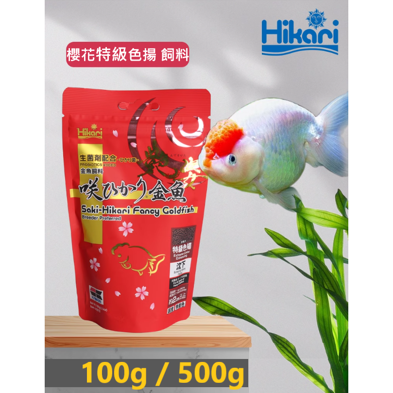 (加碼送)🎏 日本 Hikari 專家級 金魚飼料 高夠力 獅頭 蘭壽 稚魚 主食 育成 色揚 特級色揚 胚芽 水族-規格圖11