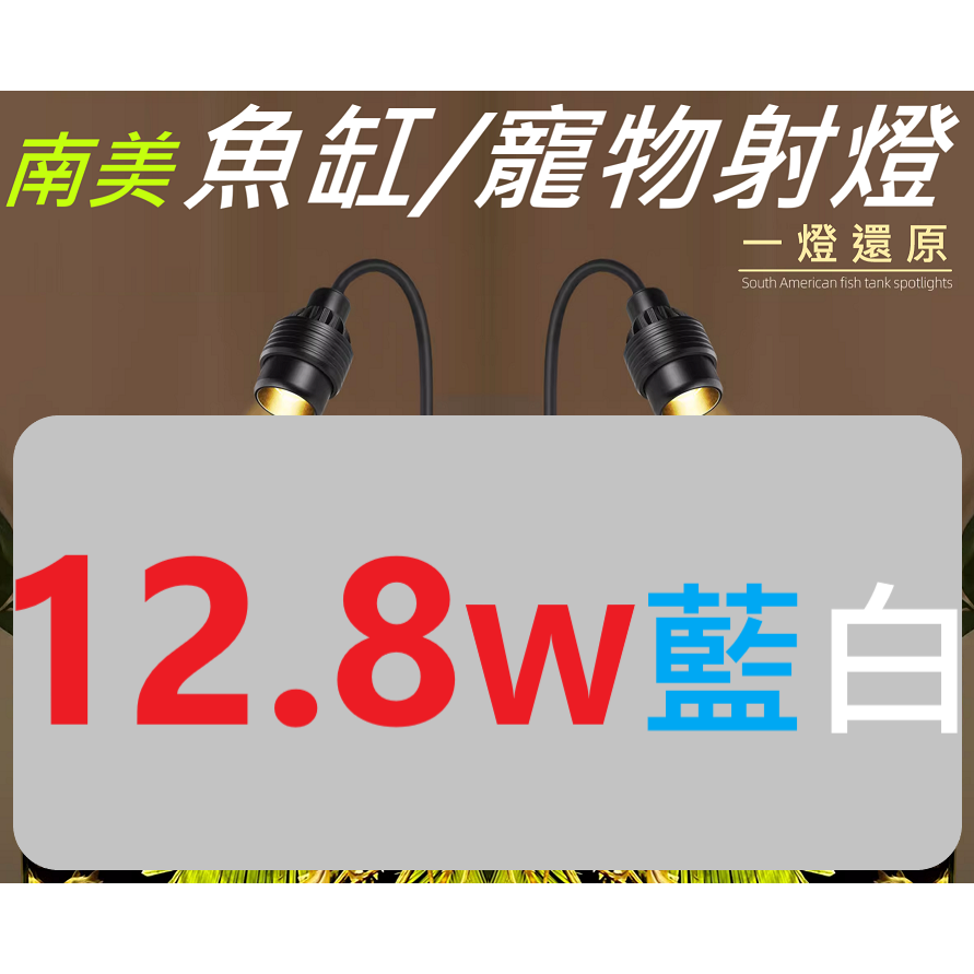 12.8W 藍白 USB 南美投射燈