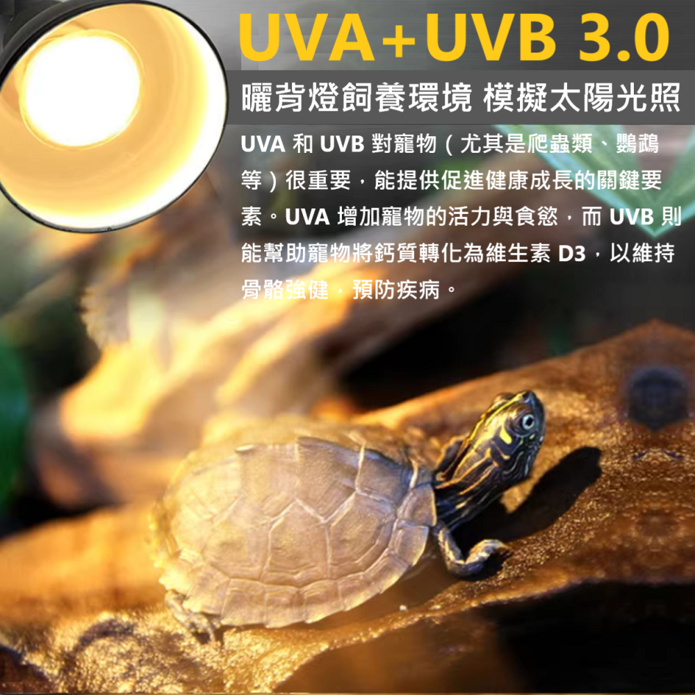 🎏 爬寵 爬蟲 寵物 全光譜 曬背燈 仿太陽 光照 日照 E27 接頭 UVB UVA 補充 加速代謝 增強免疫-細節圖4