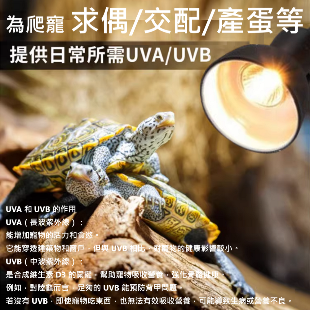 🎏 爬寵 爬蟲 寵物 全光譜 曬背燈 仿太陽 光照 日照 E27 接頭 UVB UVA 補充 加速代謝 增強免疫-細節圖5