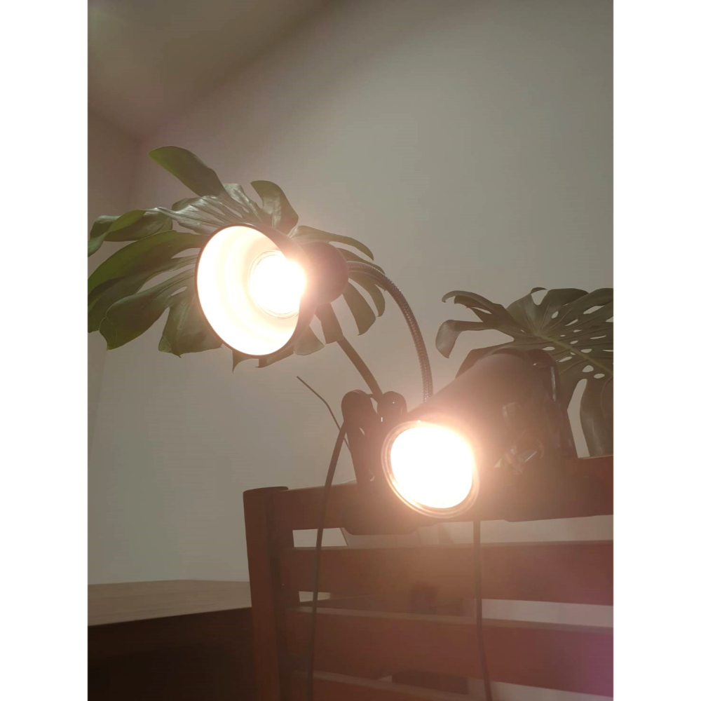 🎏 爬寵 爬蟲 寵物 全光譜 曬背燈 仿太陽 光照 日照 E27 接頭 UVB UVA 補充 加速代謝 增強免疫-細節圖6