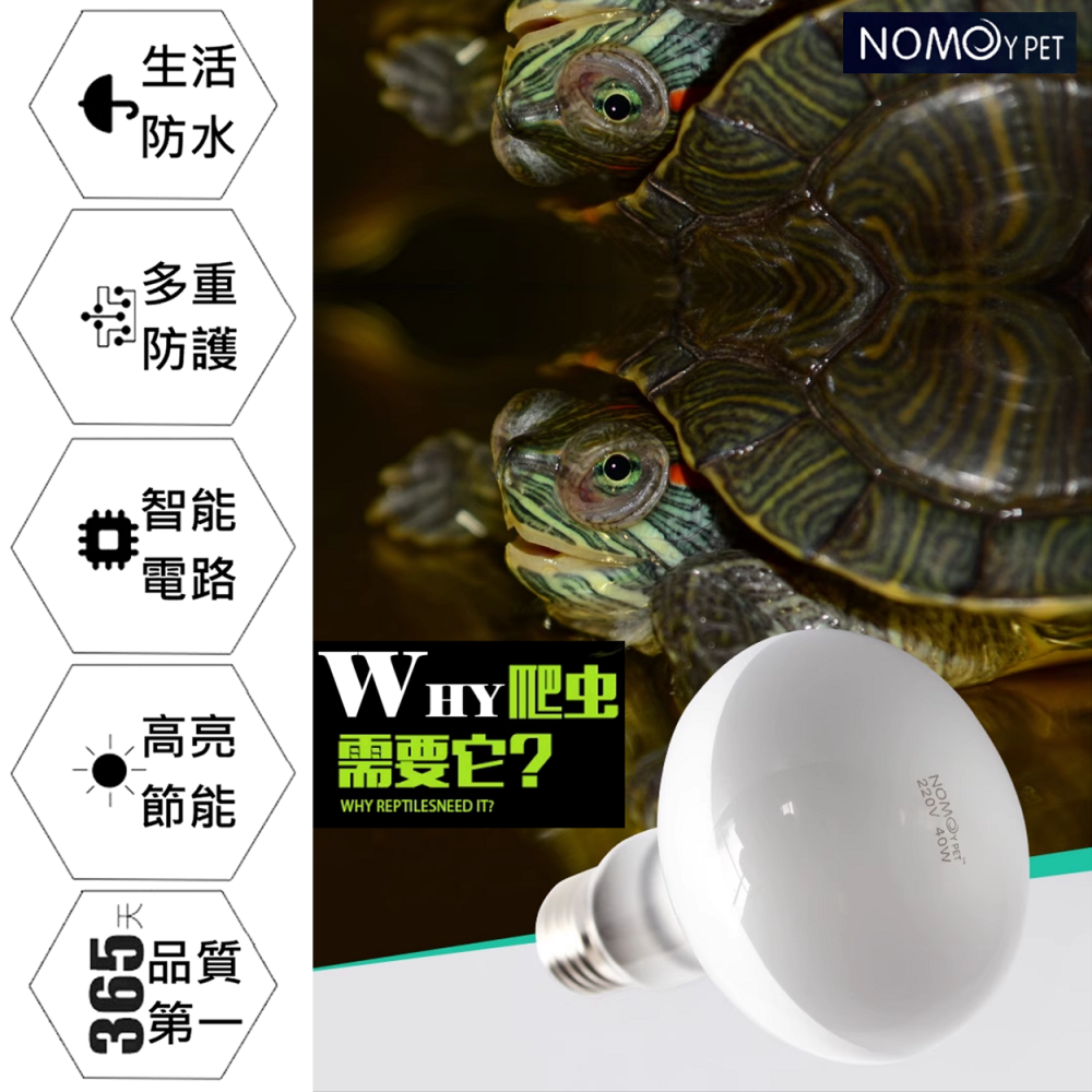 🎏 諾摩 NOMOY 爬寵 爬蟲 寵物 UVA 日光 日燈 加熱燈 仿太陽 光照 日照 E27 接頭 UVB UVA-細節圖3