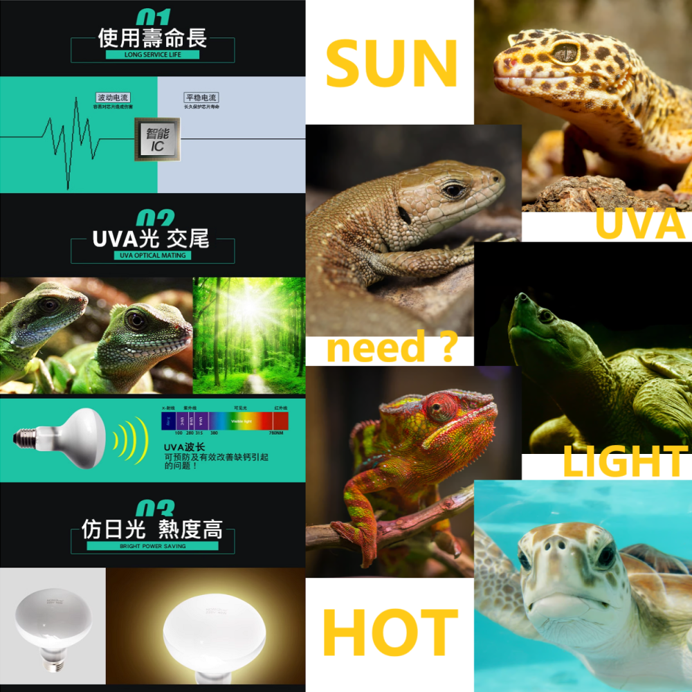 🎏 諾摩 NOMOY 爬寵 爬蟲 寵物 UVA 日光 日燈 加熱燈 仿太陽 光照 日照 E27 接頭 UVB UVA-細節圖4
