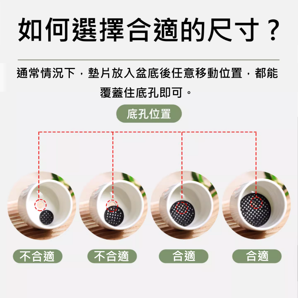 🔥  花盆 底孔 擋土 墊片 透水 透氣 耐腐蝕 可重覆使用 園藝 植栽 植物 DIY-細節圖6