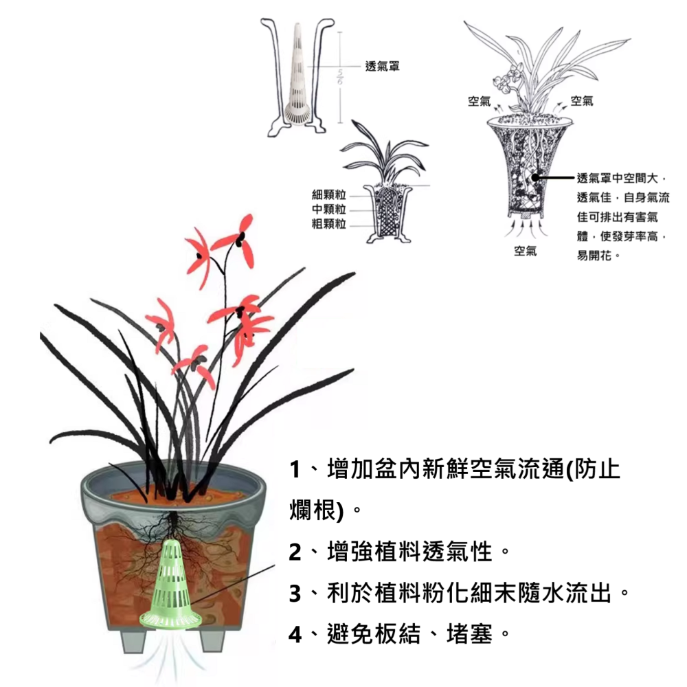 🔥 花盆 底孔 錐形 墊片 濾水罩 擋土 透水 透氣 耐腐蝕 可重覆使用 園藝 植栽 植物 DIY-細節圖11