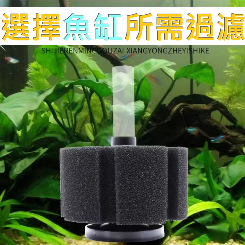🎏 水族 魚缸 信友 水妖精 過濾器 增氧 水質 改善 培菌 過濾 生化棉-細節圖9