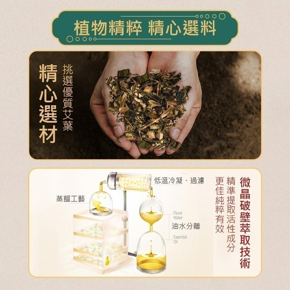 【雲南本草12味足浴包 30小包】草本足浴藥包 足浴藥包 泡腳包 泡腳藥包 中藥泡腳 去濕氣 泡腳中藥包 養生泡腳包-細節圖7