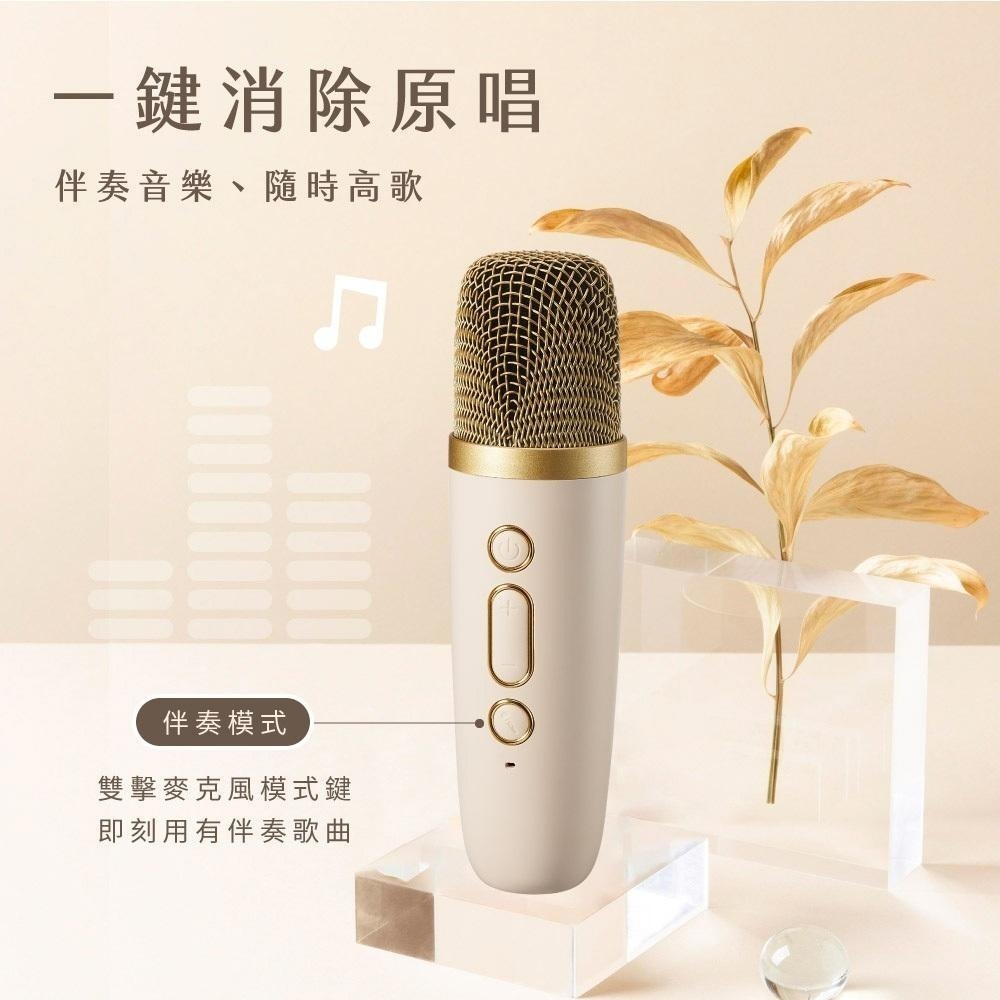 【KINYO 藍牙K歌小音箱 KY-2022】行動KTV  藍芽音響 藍芽喇叭 行動K歌 無線藍芽音箱 無線喇叭-細節圖4