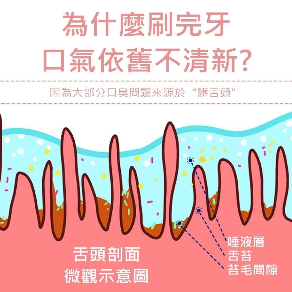 【刮+刷二合一舌苔刷  刮舌棒】 舌苔清潔器 舌苔刷 刮舌器 刮舌苔器  舌苔清潔 牙刷-細節圖3