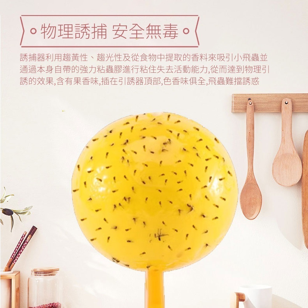 【誘蠅球】捕蠅器 黏果蠅 捕蠅球 黏蠅板 捕蠅板 果蠅球 果蠅誘捕球 誘蟲球 蒼蠅誘捕器 高黏性黏蟲球-細節圖5