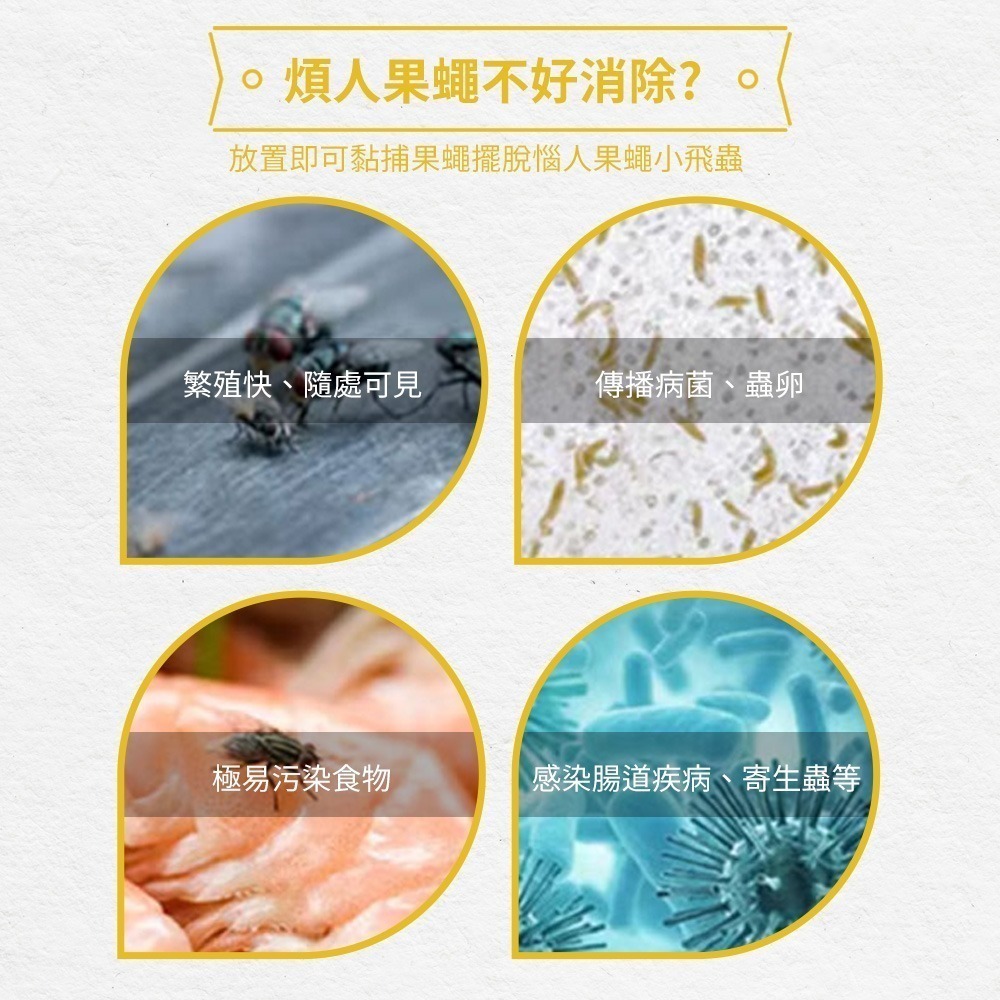 【誘蠅球】捕蠅器 黏果蠅 捕蠅球 黏蠅板 捕蠅板 果蠅球 果蠅誘捕球 誘蟲球 蒼蠅誘捕器 高黏性黏蟲球-細節圖4