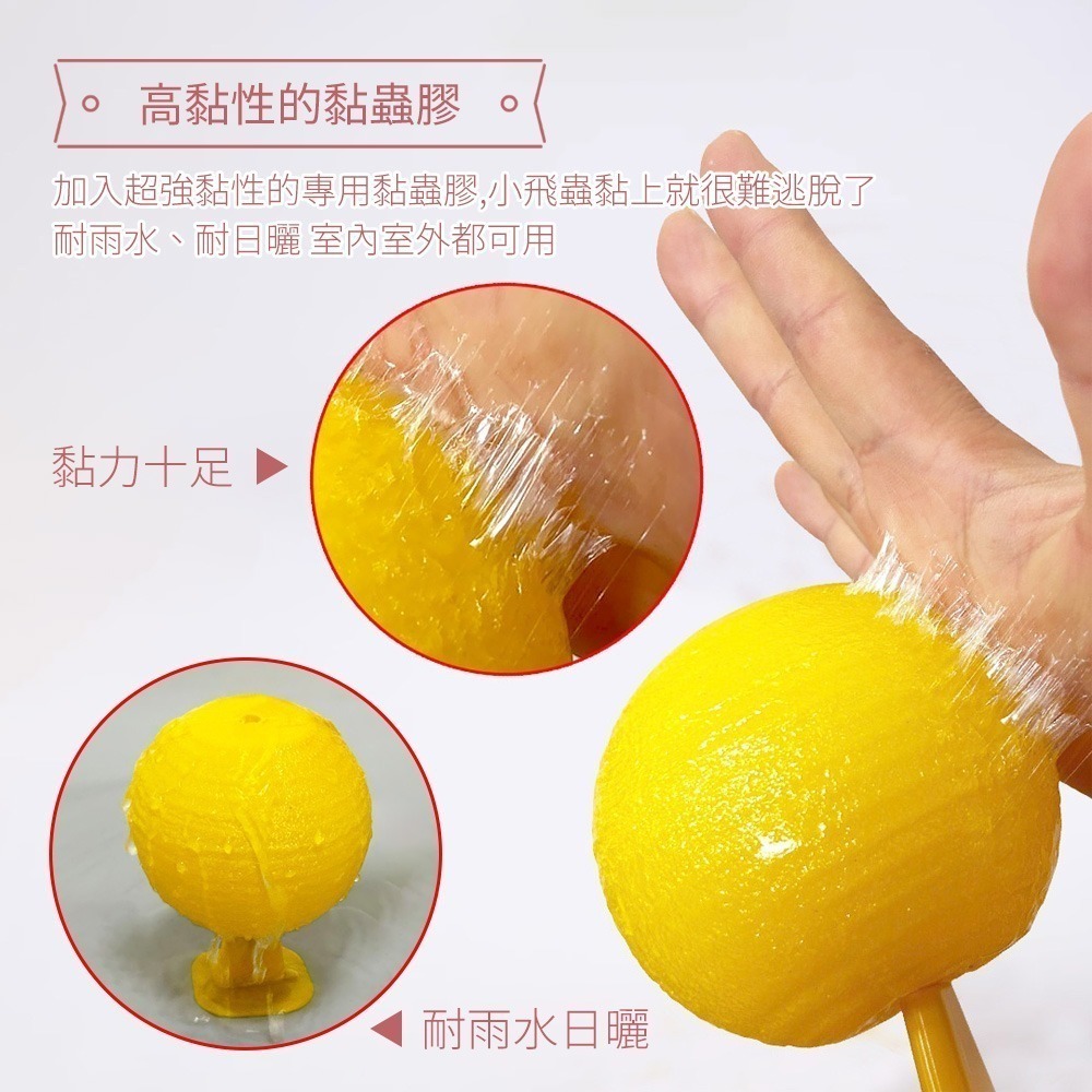 【誘蠅球】捕蠅器 黏果蠅 捕蠅球 黏蠅板 捕蠅板 果蠅球 果蠅誘捕球 誘蟲球 蒼蠅誘捕器 高黏性黏蟲球-細節圖6