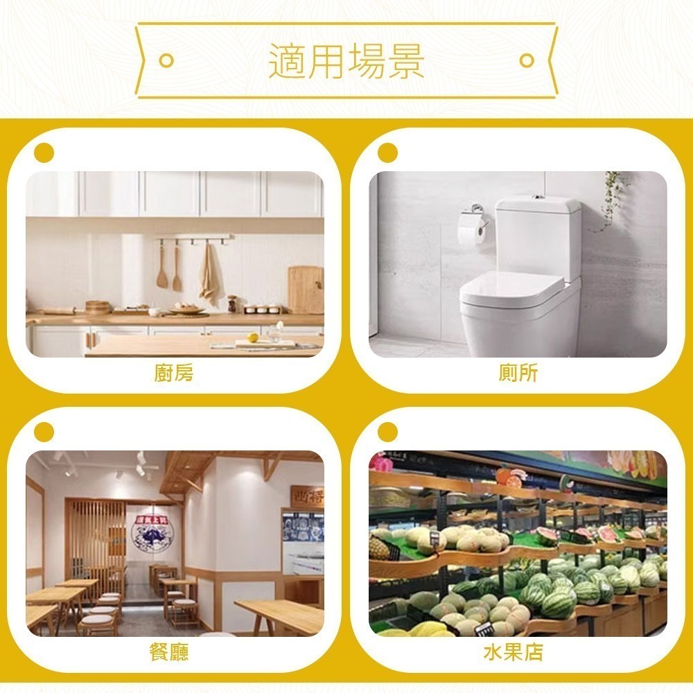 【誘蠅球】捕蠅器 黏果蠅 捕蠅球 黏蠅板 捕蠅板 果蠅球 果蠅誘捕球 誘蟲球 蒼蠅誘捕器 高黏性黏蟲球-細節圖9