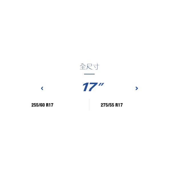 【頂尖】全新米其林輪胎LS3 235/245/255/265/275/285/295/315LATITUDESPORT3-細節圖5