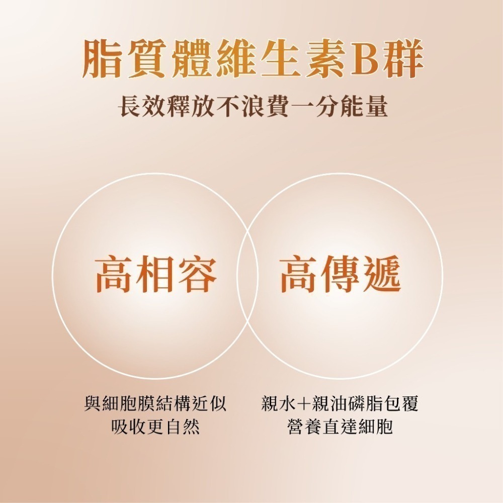 膠原生醫【微脂體天然酵母B群】女性綜合維生素｜Q10 + 鐵 + NADH｜24小時長效釋放 活力充沛 補鐵好氣色-細節圖2