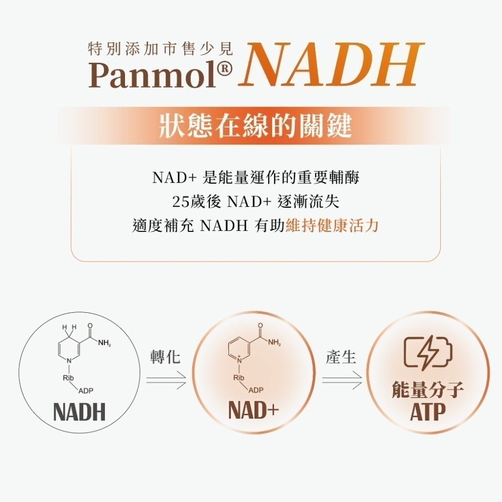 膠原生醫【微脂體天然酵母B群】女性綜合維生素｜Q10 + 鐵 + NADH｜24小時長效釋放 活力充沛 補鐵好氣色-細節圖4