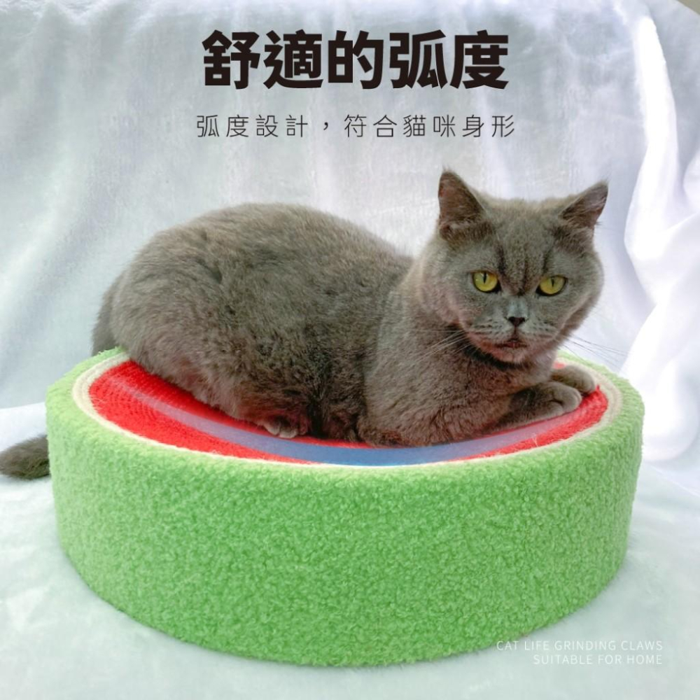 🚀隔日到貨🚀萌寵要當家 台灣現貨 西瓜劍麻盆 仿藤四季貓窩 瓦楞貓抓窩 可替換貓抓碗 牛油果劍麻貓抓碗-細節圖3