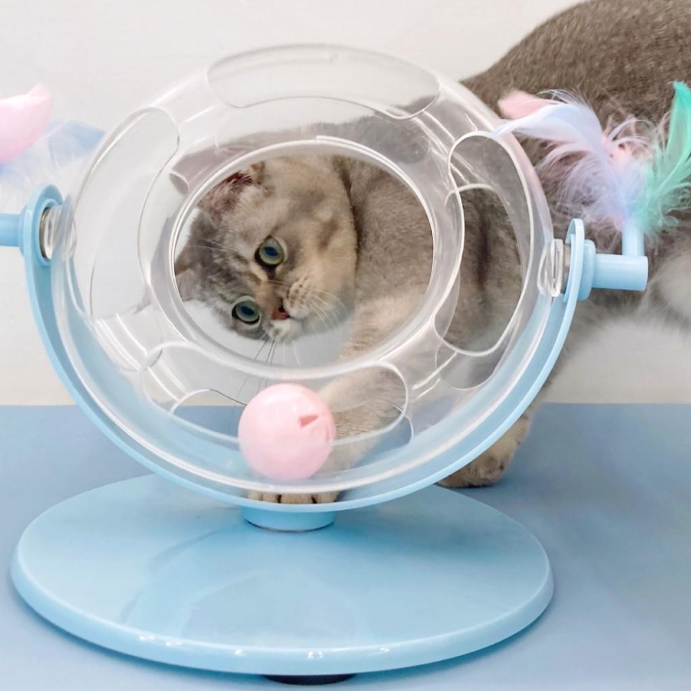 🚀隔日到貨🚀萌寵要當家 台灣現貨 360°逗貓軌道玩具 貓玩具 貓咪轉盤 羽毛玩具-細節圖9